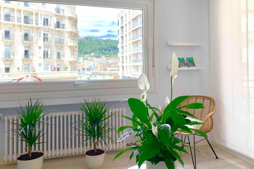New Gorgeous Central Apartment - Beachfront - 3 Bd サン・セバスティアン エクステリア 写真